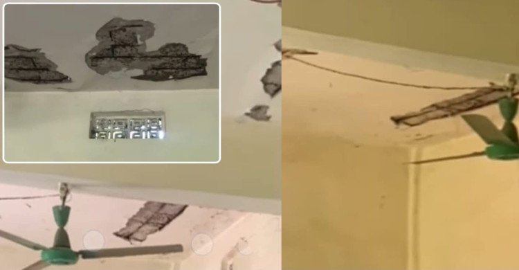 news-thumbnail
